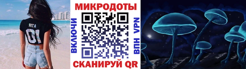 что такое наркотик  Опочка  Галлюциногенные грибы мицелий 